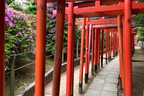 Tokyo: Gamla kvarteret Rundvandring i gamla kvarteret Yanaka