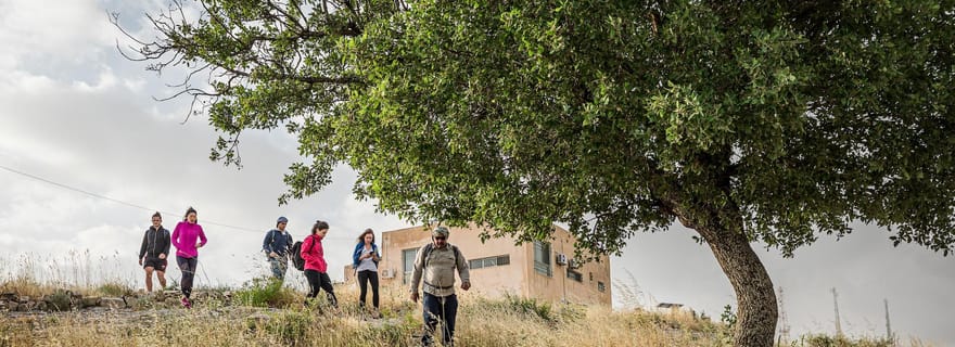Destinations Baraka : Randonnée légère guidée à Umm Qais