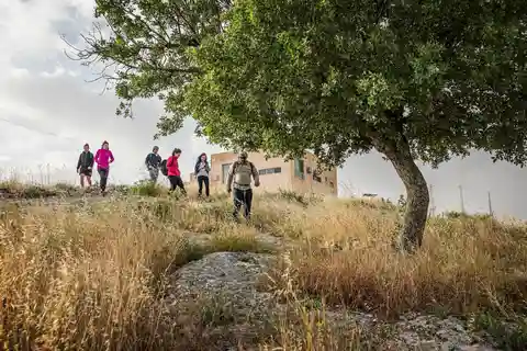 Destinos Baraka: Caminhada ligeira guiada em Umm Qais