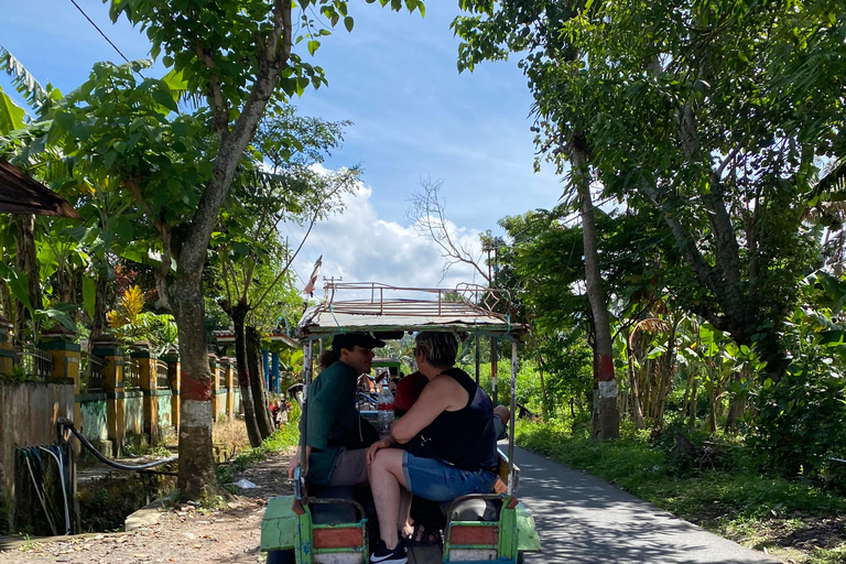 特特巴图：瀑布、香料、梯田、猴子森林特特巴图之旅、香料、瀑布、梯田、猴林