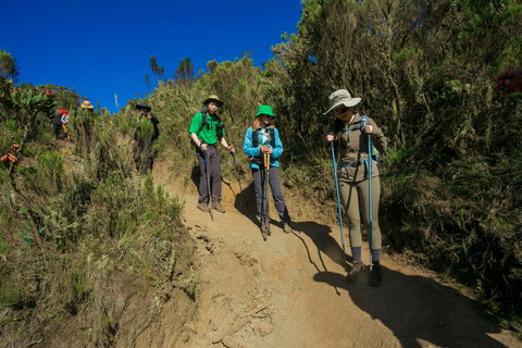 6 dias Kilimanjaro Machame Route Trek