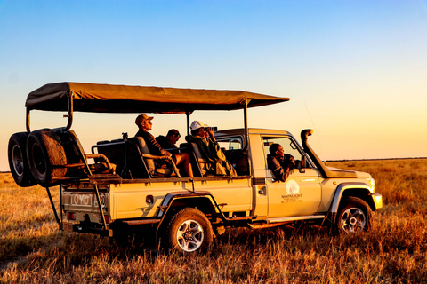 Excursión en coche por el Parque Nacional de Chobe