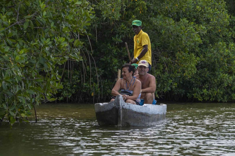 Shared Cartagena Mud Volcano + Mangrove Tour including lunch