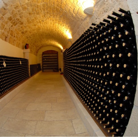 Visit Private wine tasting in family owned winery in Cisternino in Cisternino, Italy