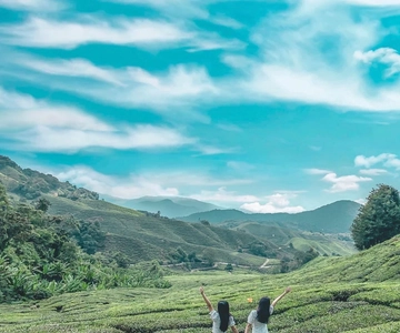Da Kuala Lumpur: Escursione di un giorno nelle Cameron Highlands con trasferimenti