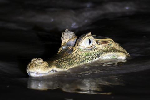 From Cusco: Manu Park 3-day ecotourism and adventure From Cusco: Manu Park 3-day ecotourism and adventure