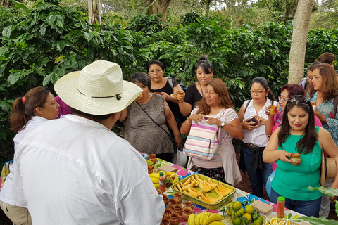 VON CDMX: Puebla, Oaxaca, Veracruz, Chiapas, Villahermosa 9 TAGE