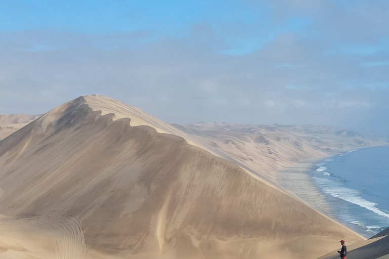 Walvis Bay: Sandboarding & Sandwich Harbour Combo Tour