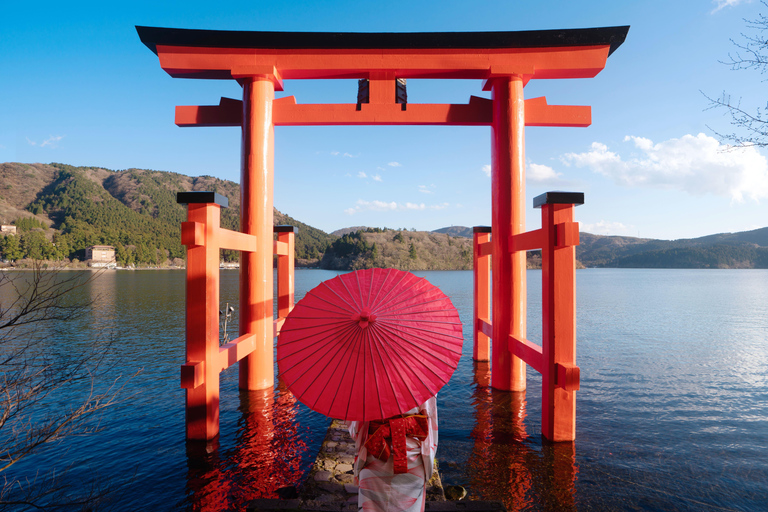 Tokyo: Mt. Fuji, Owakudani, Hakone Shrine, & Open-Air Museum Tokyo Station Meeting Point