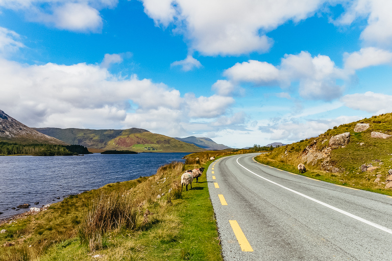 Desde Galway: Connemara y Cong Tour de día completo