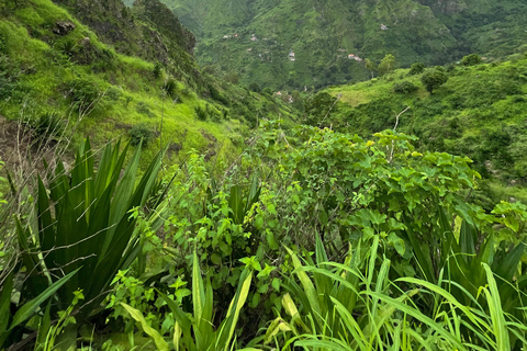 Serra Malagueta - Ribeira de Gongon - Hortelão Hike Hike Serra Malagueta - Ribeira de Gongon - Hortelão
