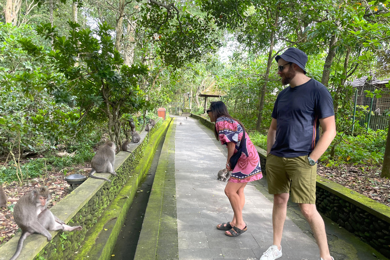 Bali: Private Ubud Highlights Tour with Customized Tour Temple, Monkey Forest, Waterfalls, & More (Without Tickets)