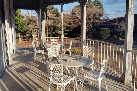 Aichi: Meiji Village & Japan’s Modernization Journey 5h Immersive option