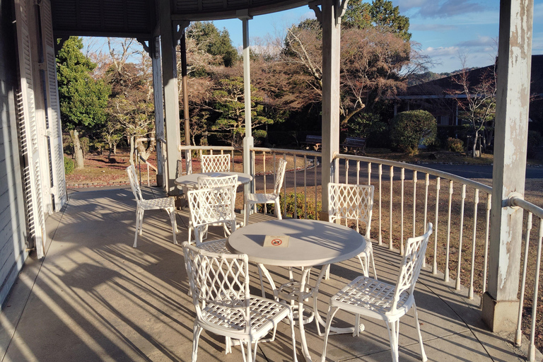 Aichi: Meiji Village & Japan’s Modernization Journey 5h Immersive option