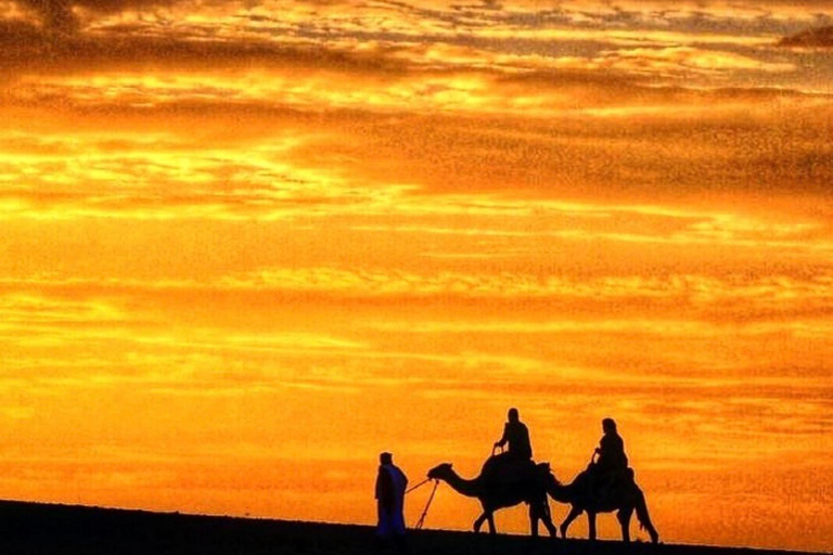 From Marrakech: Agafay Desert Quad Bike, Dinner & Live Show