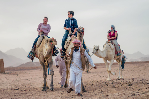 Sharm: ATV Safari, Parasail, Glass Bottom Boat Tour w/ Lunch