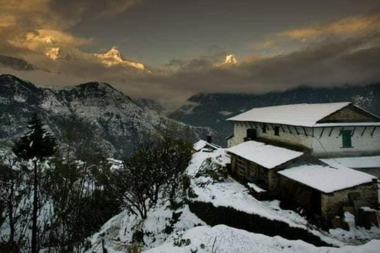 Pokhara : Trek de 3 jours à Astam, Dhampus et Australian CampPokhara : 3 jours de service