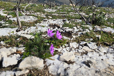 Hike Mount Shpirag and Enjoy Stunning Berat Views