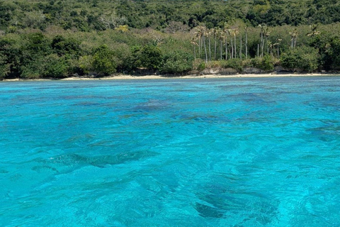 Port Vila: Lelepa Island Day Trip with Snorkeling & BBQ
