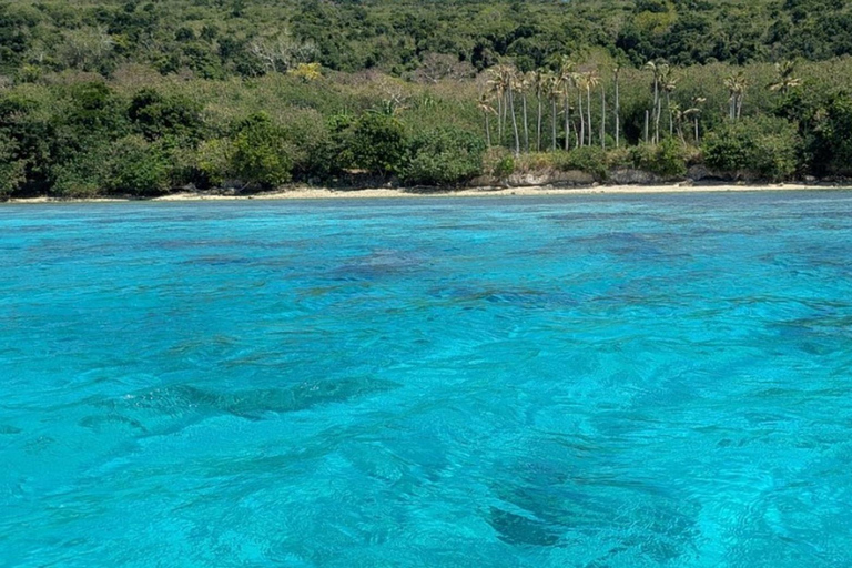 Port Vila: Lelepa Island Day Trip with Snorkeling & BBQ