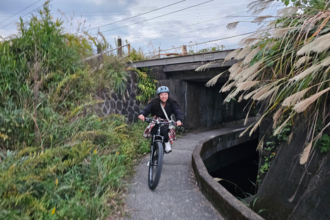 La città di Fuji: Tour panoramico in E-Bike del Monte Fuji