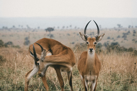 3 days mikumi and masai culture