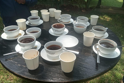 Coffee Farm Tour (Fairview)