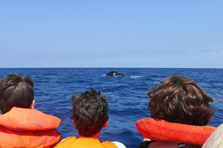 Isole Bazaruto e Benguerra: Escursione di un giorno da Vilanculos