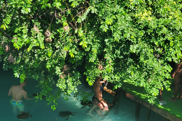 Zanzibar: Jozani forest, Butterfly center & Salaam cave tour Tour with Hotel pick up and drop off included