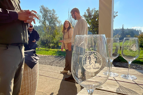 Willamette Valley Wine Tour: Podróż dla zmysłów