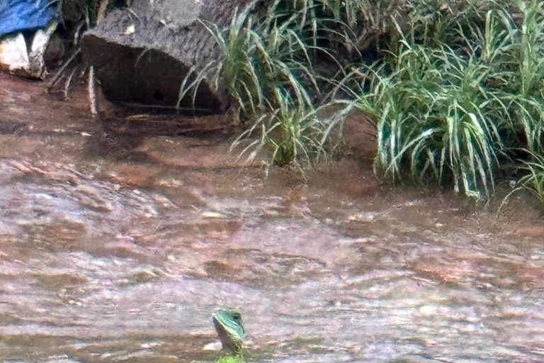 Santuario de My Son y Senderismo de Montaña - PeregrinaciónMi hijo Santuario Viaje de madrugada