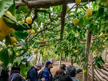 Maiori: Amalfikusten Citronens stig privat tur till fots