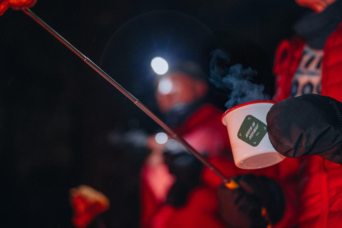 Oslo Forest: Mystery Nocturne Walk with Headlamps