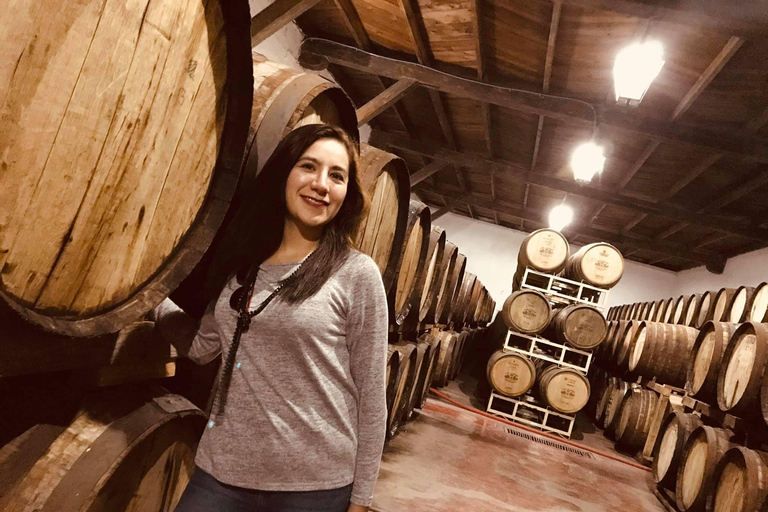 Rondleiding &quot;Parras de la Fuente&quot;, met gids, transfer en tickets