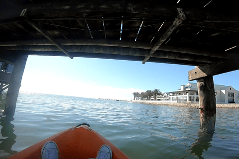 Swakopmund: Walvis Bay Lagoon Kayaking Adventure From Walvis Bay: Lagoon Kayaking Adventure
