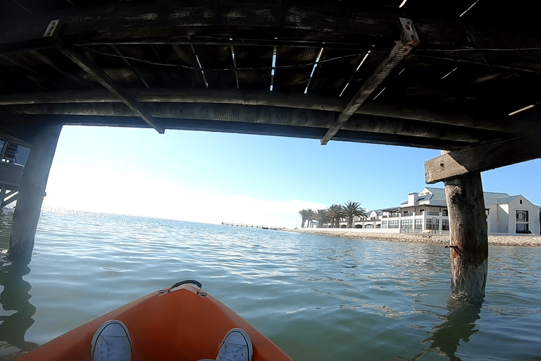 Swakopmund: Walvis Bay Lagoon Kayaking Adventure From Walvis Bay: Lagoon Kayaking Adventure