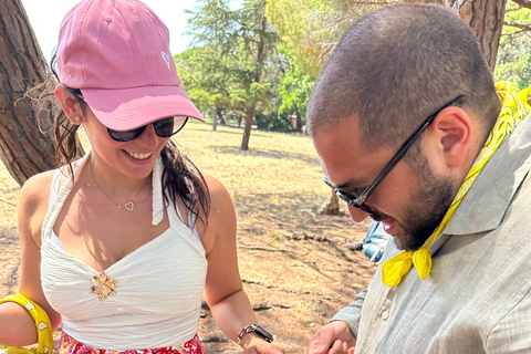 Adventure Game in Provence