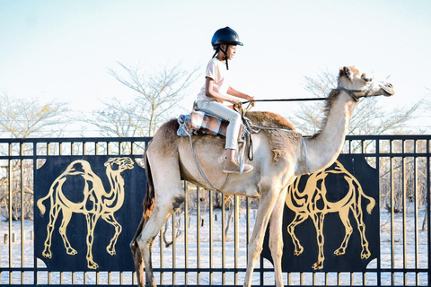 Maun, Botsuana: Safari Camel AdventureMaun, Botsuana: Aventura en safari en camello