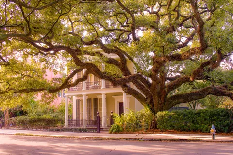 Tour del quartiere dei giardini di New Orleans