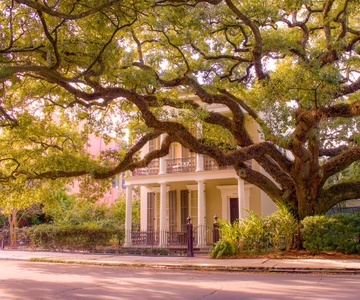New Orleans Garden District Tour