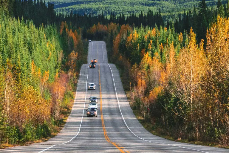 Calgary: Banff, Lake Louise och Canmore SUV TourCalgary: SUV-tur till Banff, Lake Louise och Canmore