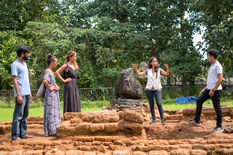 Goa Sud: Sentiero del patrimonio Chandor