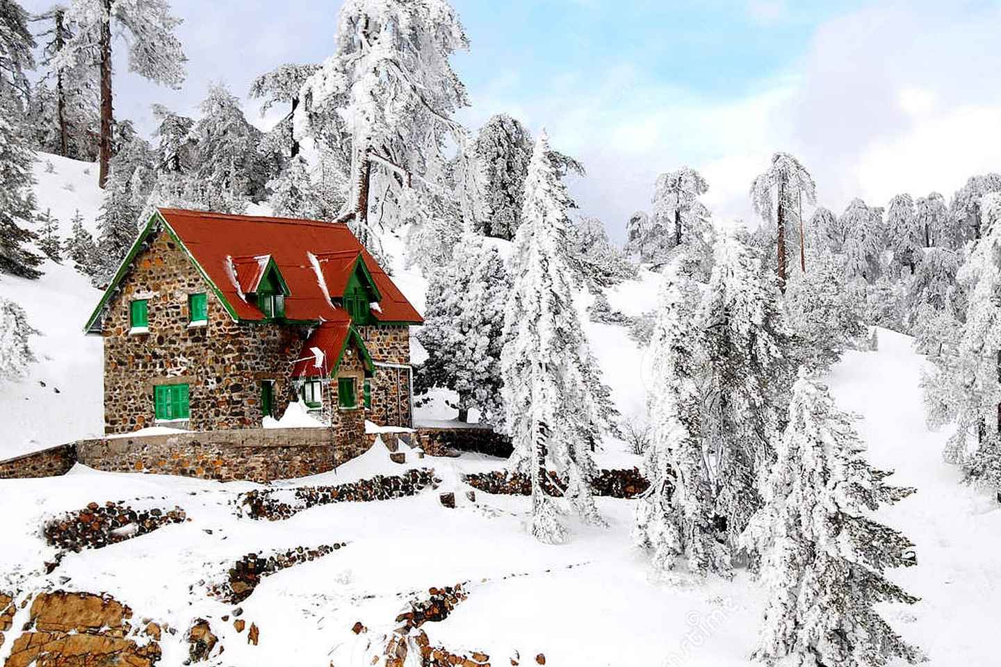 The Real Cyprus: Private Mini Bus Tour With Local Guide