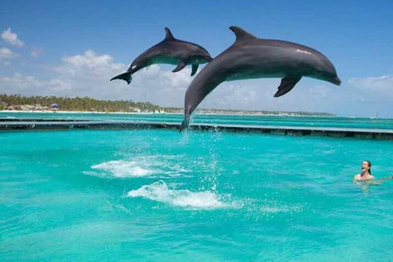 Tropical Tide: Mnemba Snorkel & Dolphin Tour