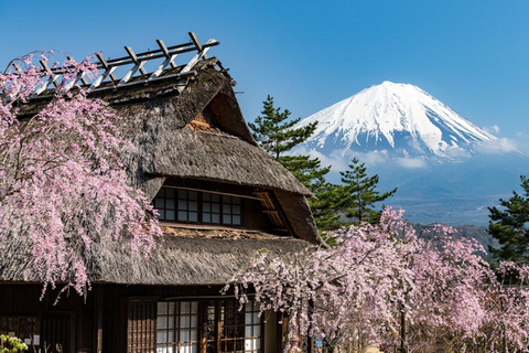 Tokyo: Mount Fuji Private Tour with Scenic Lunch Experience