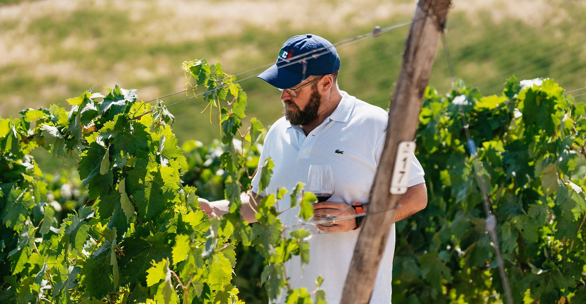 From Florence: Small Group Wine Tasting Tour to Tuscany photo 6