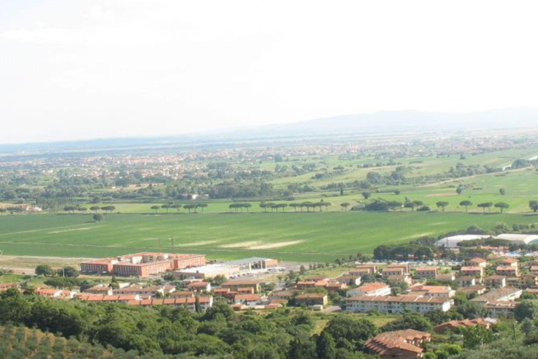 Olive Mill Tour with Oil and Food Tastings near Pisa Italiano