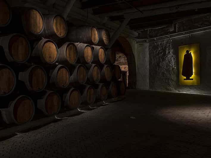 Porto: tour delle cantine Sandeman con degustazione di vino Porto