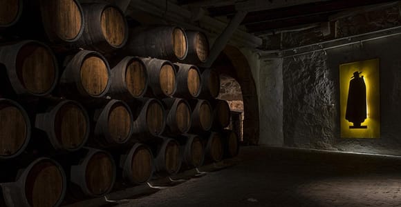 Tawny, ruby, vintage : ce qu’il faut savoir avant une dégustation de porto
