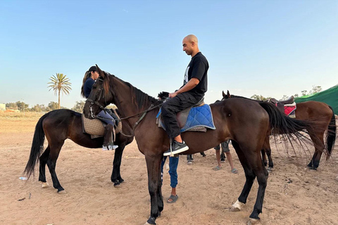 Agadir: Beginner Horse Ride Along the Souss River